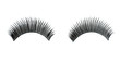 Foto: False lashes False lashes