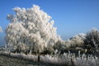 Winterlandschaft