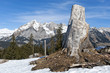 Schneewandern - Toggenburg