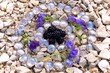 Landart Kreise Brombeeren Blüten