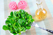 Feldsalat