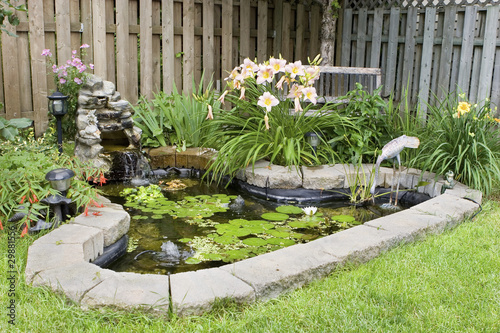 Photo: Garden Pond Garden Pond