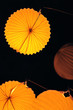 Chinese paper lantern