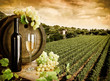 Foto: Wine and vineyard in vintage style Wine and vineyard in vintage style