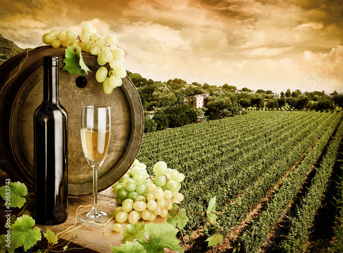 Photo: Wine and vineyard in vintage style Wine and vineyard in vintage style