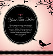 vintage design of a bird with a text bubble