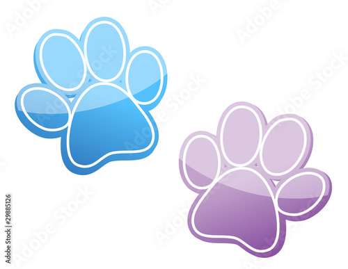 Illustration: paw paw