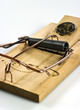 Rat trap