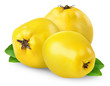 Quince Quince