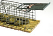 Mouse trap