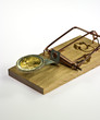 Mouse trap