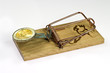Mouse trap