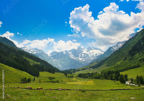Foto: Romantische Naturlandschaft Romantische Naturlandschaft