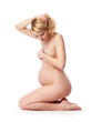 Naked pregnant women - studio shot