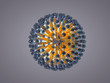 Herpes simplex Virus 3D