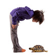 Foto: bambina curiosa che guarda una tartaruga bambina curiosa che guarda una tartaruga