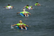 Pattern of young surfers look like penquin Pattern of young surfers look like penquin