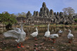 the Bayon, Angkor Wat,Cambodia