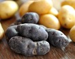 Kartoffelsorten