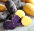 Kartoffelsorten
