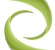 decorazione aloe vera