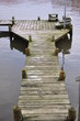 steg