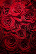 Roses Background