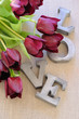 love et tulipes