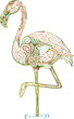 Crane Bird