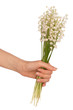lily of the valley