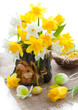 Narcissus and tulips for Easter