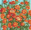 Asters