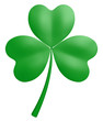 Three-leaf Clover