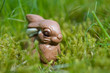 Schokoladenhase im Gras