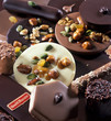 Chocolats et Mendiants au chocolat