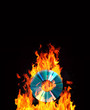 Photo: cd on fire cd on fire