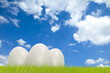 Three white eggs on grass in front of a cloudy sky