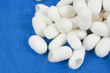 A pile of silkworm cocoons on the blue silk fabric.
