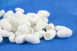 Cocoons texture
