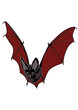 Halloween bat