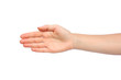 Palm of a woman