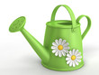 Green watering can with camomiles