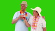Elderly couple on the beach looking at the landscape