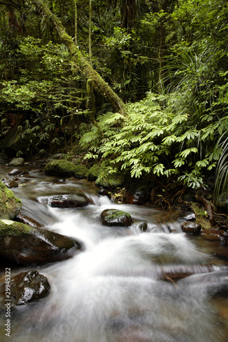 Photo: Stream Stream