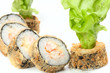 sushi sushi