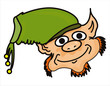 funny leprechaun face isolated on white funny leprechaun face isolated on white