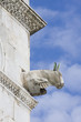 Cattedrale Pisa - particolare Cattedrale Pisa - particolare