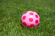 a colorful summer toy ball on a green lawn a colorful summer toy ball on a green lawn