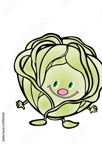 Cabbage Vector