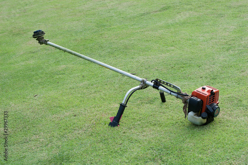 Photo: Brush cutting Brush cutting